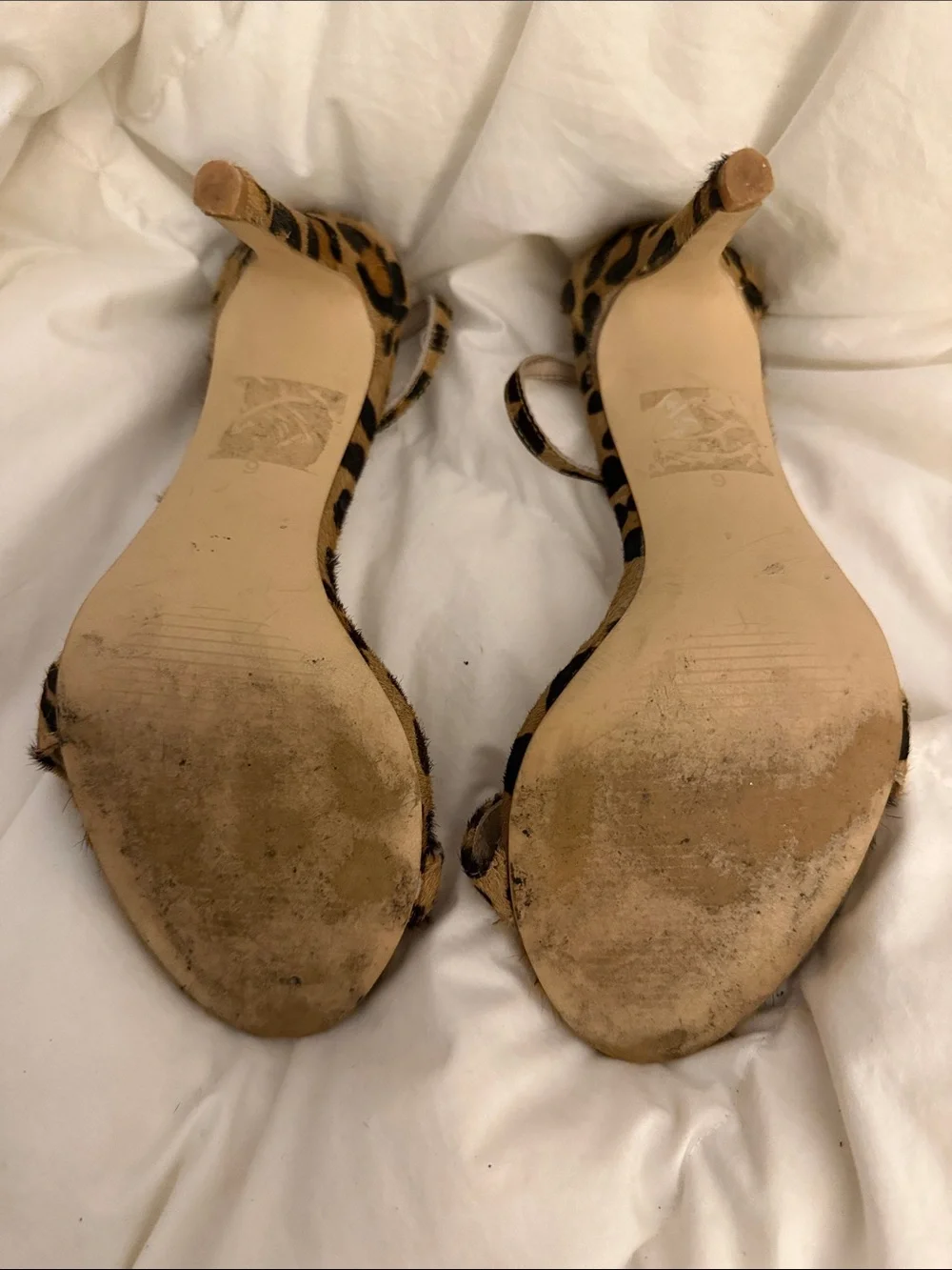 Steve Madden STECY Leopard Print Heels
